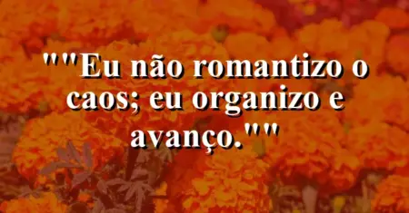 “Eu não romantizo o caos; eu organizo e avanço.”