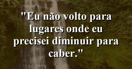 Eu não volto para lugares onde eu precisei diminuir para caber.