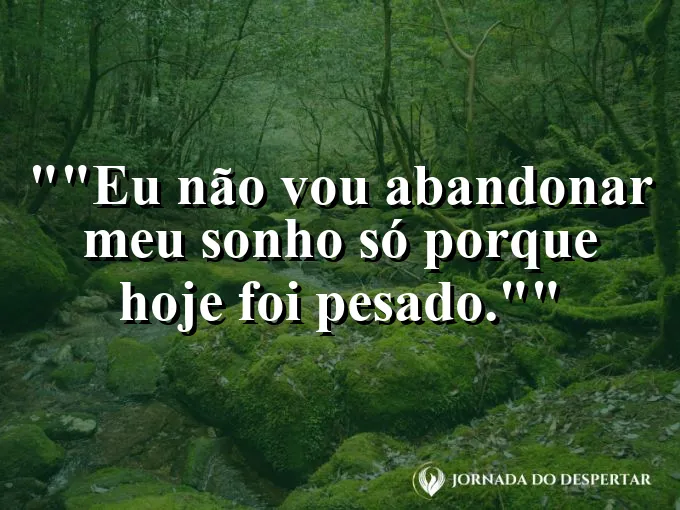 Frase motivacional para status: "Eu não vou abandonar meu sonho só porque hoje foi pesado."