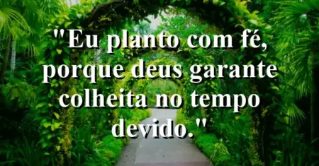 “Eu planto com fé, porque Deus garante colheita no tempo devido.”