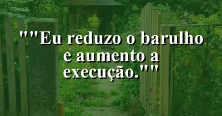 “Eu reduzo o barulho e aumento a execução.”