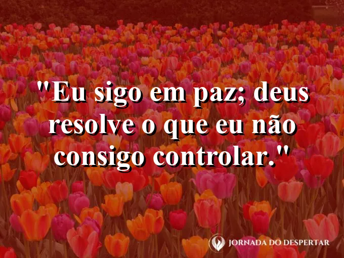 Imagem com a frase: Eu sigo em paz; Deus resolve o que eu não consigo controlar.