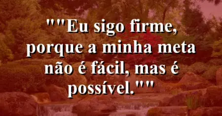 “Eu sigo firme, porque a minha meta não é fácil, mas é possível.”