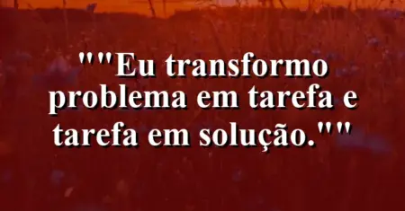 “Eu transformo problema em tarefa e tarefa em solução.”