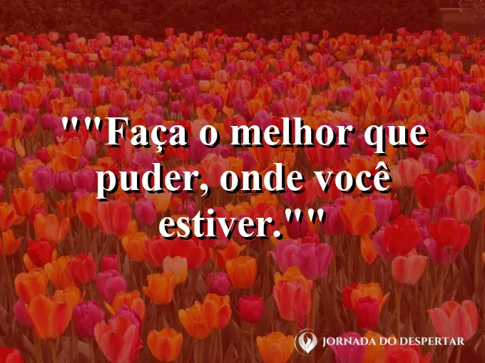 Mãos cuidando de um pequeno jardim urbano.