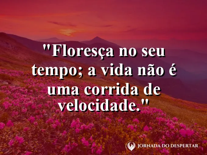 Um botão de rosa começando a se abrir lentamente ao sol.