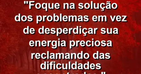 “Foque na solução dos problemas em vez de desperdiçar sua energia preciosa reclamando das dificuldades encontradas.”