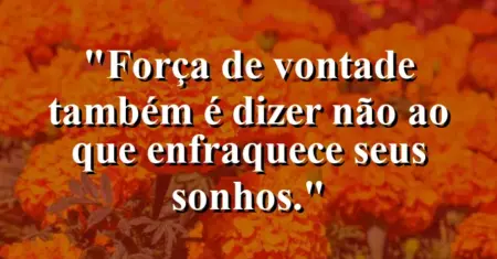 “Força de vontade também é dizer não ao que enfraquece seus sonhos.”