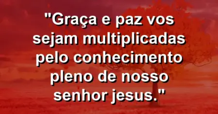 “Graça e paz vos sejam multiplicadas pelo conhecimento pleno de nosso Senhor Jesus.”