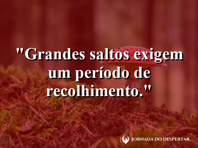 Um felino agachado pronto para dar um bote preciso.