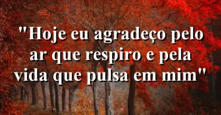 “Hoje eu agradeço pelo ar que respiro e pela vida que pulsa em mim”