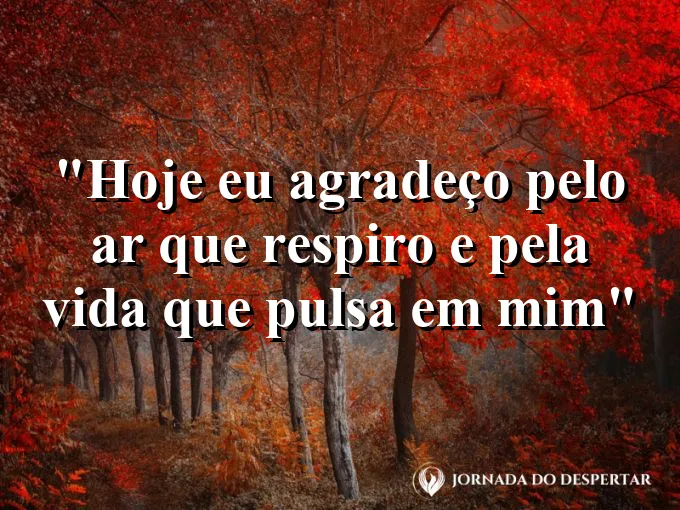 bom-dia-agradeco-ar-respiro-vida-pulsa