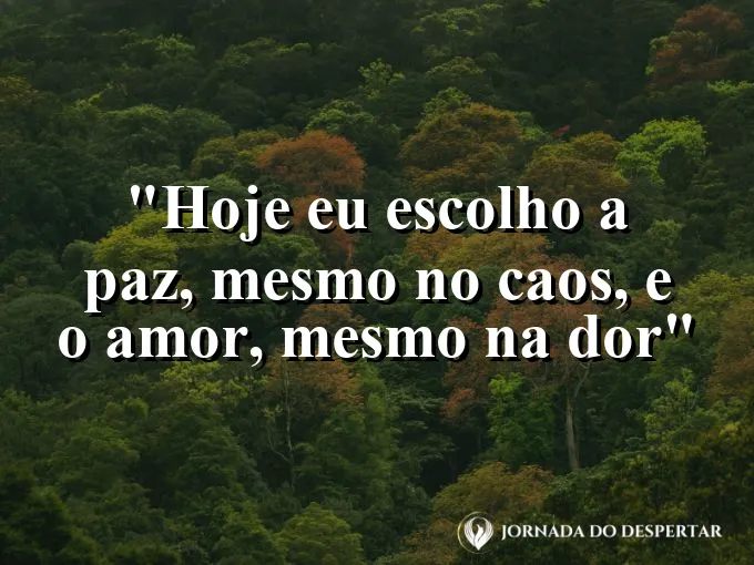 bom-dia-escolho-paz-caos-amor-dor