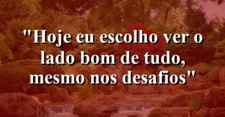 “Hoje eu escolho ver o lado bom de tudo, mesmo nos desafios”