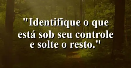 “Identifique o que está sob seu controle e solte o resto.”