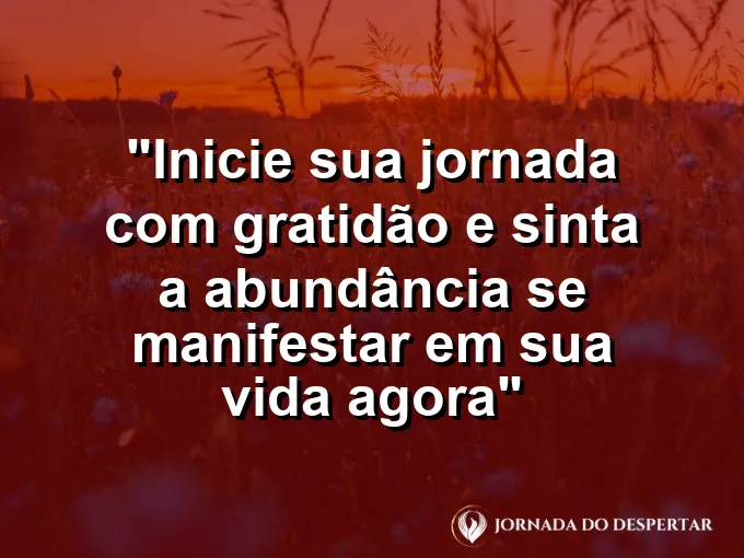Cesta de frutas frescas e pães sobre uma mesa rústica banhada pela luz clara do sol.
