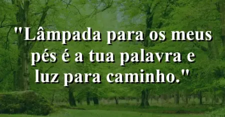 “Lâmpada para os meus pés é a tua palavra e luz para caminho.”