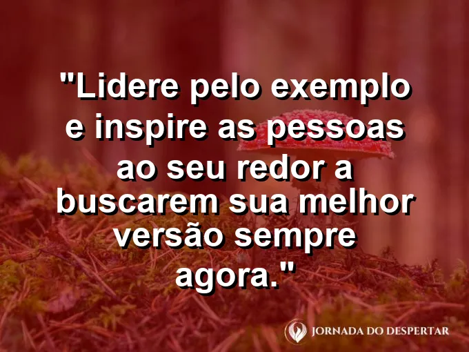 Um guia caminhando na frente de um grupo em uma trilha na floresta sob luz suave que atravessa as árvores.