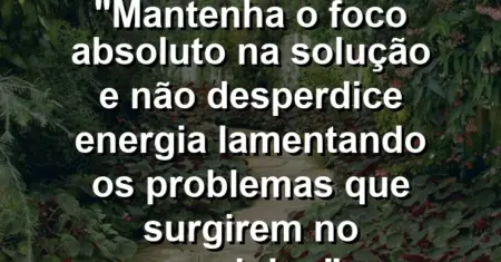 “Mantenha o foco absoluto na solução e não desperdice energia lamentando os problemas que surgirem no caminho.”