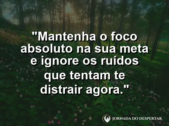 Um par de antolhos de couro em um cavalo de corrida, simbolizando o foco total na pista à frente.
