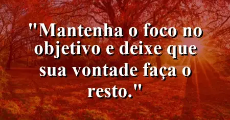 “Mantenha o foco no objetivo e deixe que sua vontade faça o resto.”