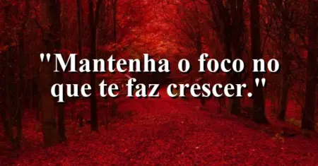 Mantenha o foco no que te faz crescer.