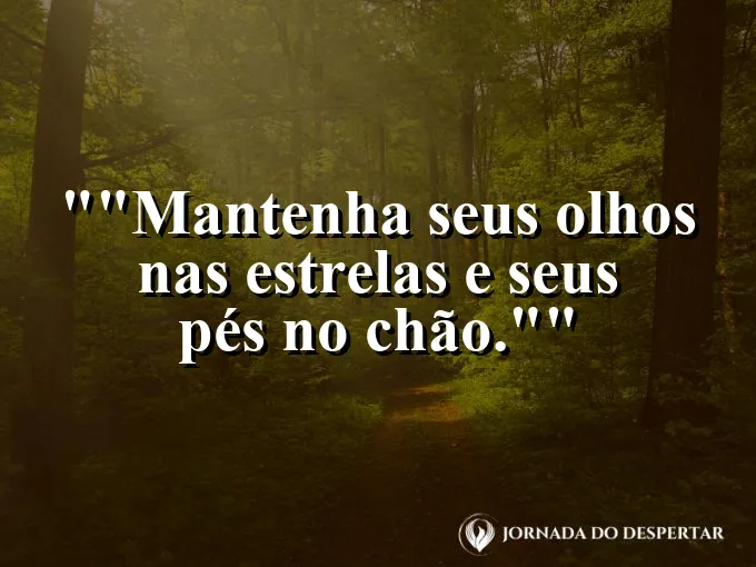 Telescópio apontado para o céu em um campo gramado.