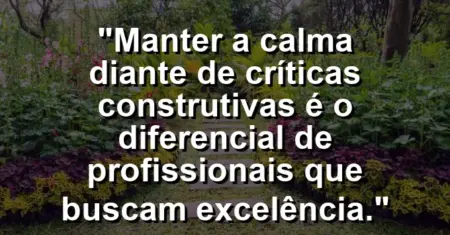 “Manter a calma diante de críticas construtivas é o diferencial de profissionais que buscam excelência.”