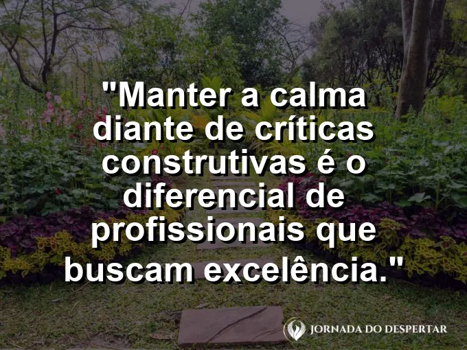 Profissional analisando um gráfico com frase sobre calma e críticas construtivas.