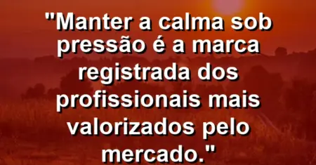 “Manter a calma sob pressão é a marca registrada dos profissionais mais valorizados pelo mercado.”