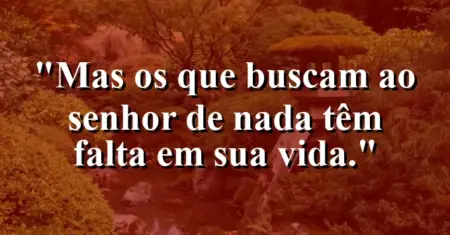 “Mas os que buscam ao Senhor de nada têm falta em sua vida.”