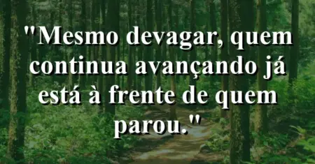 “Mesmo devagar, quem continua avançando já está à frente de quem parou.”