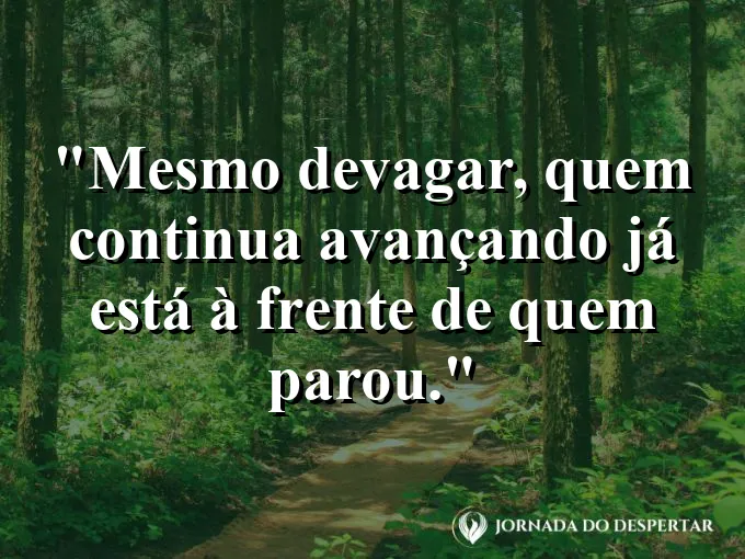 Imagem com frase sobre avanço lento e constante com força de vontade.