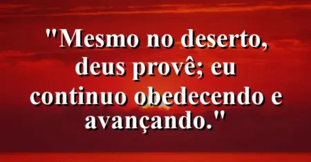 “Mesmo no deserto, Deus provê; eu continuo obedecendo e avançando.”