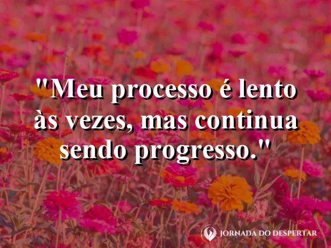 Imagem com frase sobre evolução lenta, mas verdadeira e contínua.