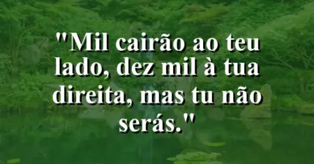 “Mil cairão ao teu lado, dez mil à tua direita, mas tu não serás.”