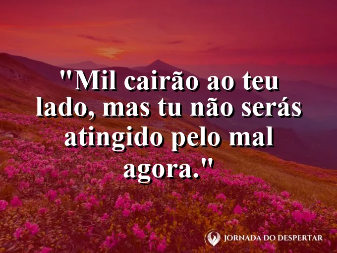 Escudo dourado brilhando intensamente com frase de proteção do Salmo noventa e um.