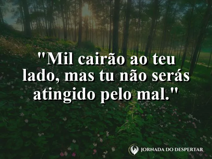 Escudo dourado brilhando intensamente com frase de proteção do Salmo noventa e um de Deus.