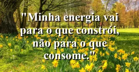 Minha energia vai para o que constrói, não para o que consome.