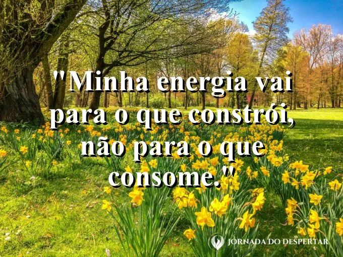 Frase para status: minha energia vai para o que constrói, não para o que consome.
