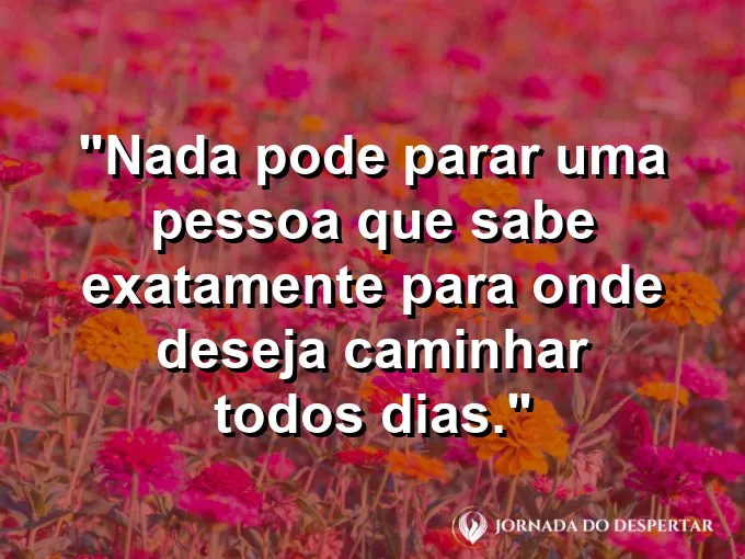 Bússola apontando para o norte com frase sobre direção e vontade.