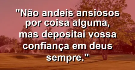 “Não andeis ansiosos por coisa alguma, mas depositai vossa confiança em Deus sempre.”