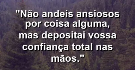 “Não andeis ansiosos por coisa alguma, mas depositai vossa confiança total nas mãos.”