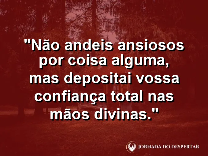 Mãos estendidas para o céu em um campo de flores sob o pôr do sol.
