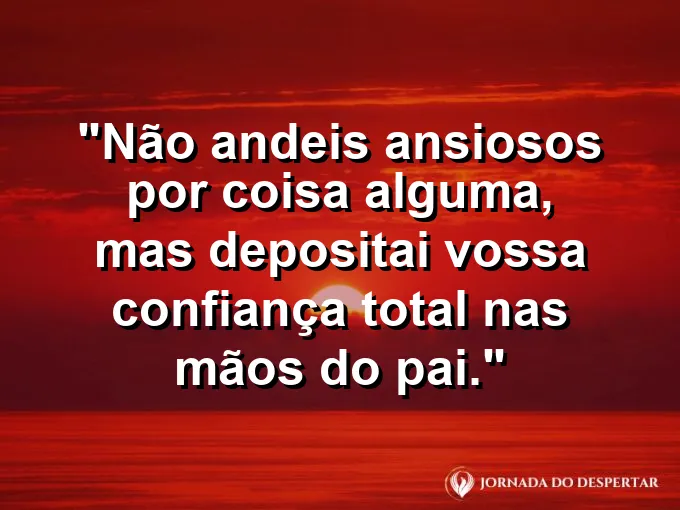 Mãos estendidas para o céu em um campo de flores sob o pôr do sol.