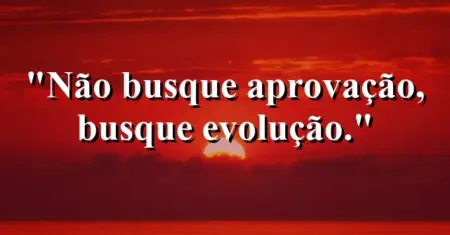 Não busque aprovação, busque evolução.