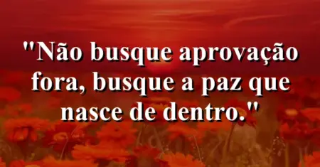 Não busque aprovação fora, busque a paz que nasce de dentro.