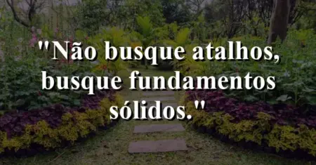 Não busque atalhos, busque fundamentos sólidos.