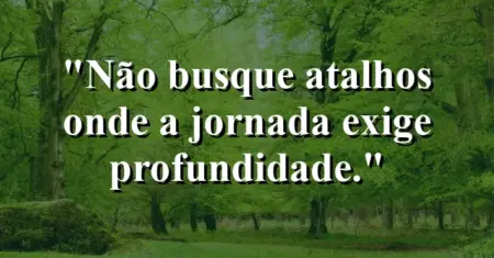 Não busque atalhos onde a jornada exige profundidade.