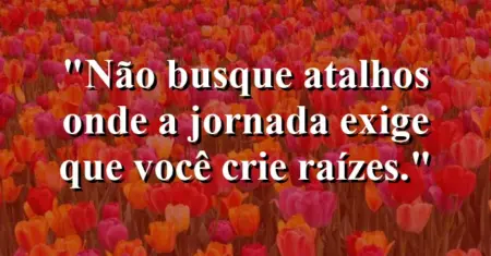 Não busque atalhos onde a jornada exige que você crie raízes.